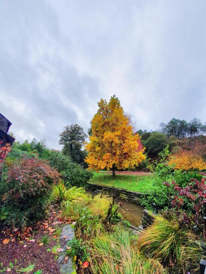 Moulin Menhirs & Zone Naturelle Protegee Saint-Just  Bagian luar foto
